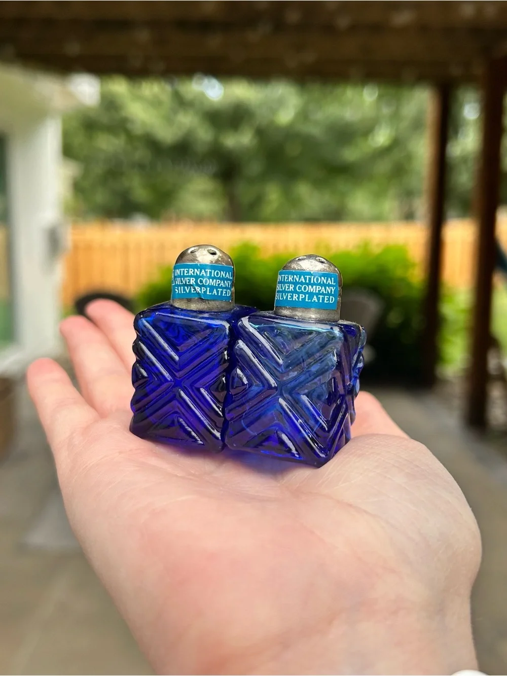 Pair of Mini Salt & Pepper Shakers Silver Plated